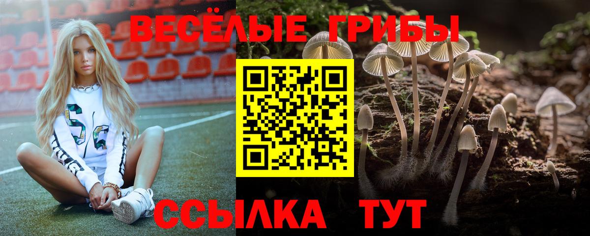 купить  сайты  Псилоцибиновые грибы Magic Shrooms  Вход с VPN  Балашиха 